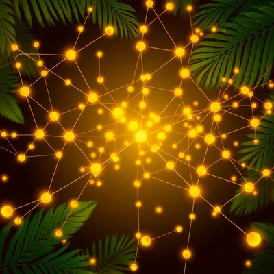 Aplicativo EvolveCasino